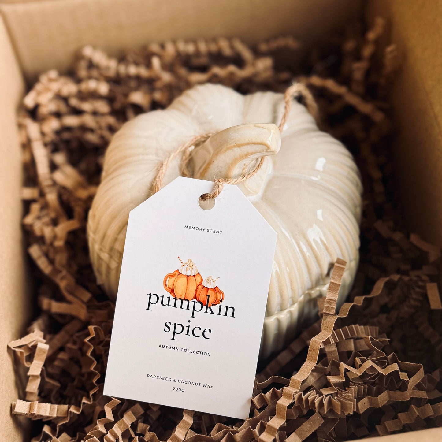 Pumpkin Spice Ceramic Candle